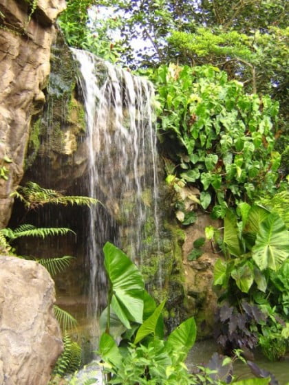Gardens_waterfall